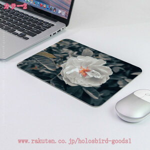 300~OFFN[| }EXpbh  fB[X  킢 RpNg e[N rWlX uh PC U[  v Mtg v[g ItBX Oo OL ݑΖ k  