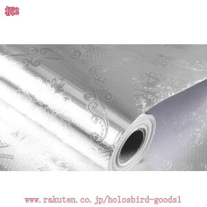 500~OFFN[| XeXV[g A~V[g  ǎV[ CNV[g Lb` ϔMV[ 60cm hhh HIV[g ڒܕt EH[X ebJ[ ͂ ˒I 