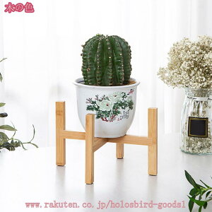 500~OFFN[| t[X^h VR |bg X^h ؐ ϗtA ԑ i` K[fjO EbhX^h Aؔ u t[|bg CeA k ~̓X^h 