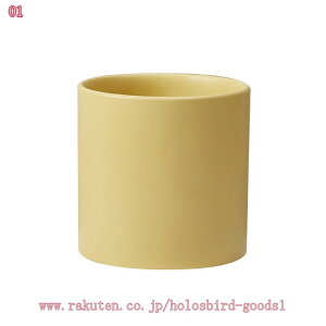 500~OFFN[| Zg A t[ Aؔ k fB zCg O[   ~^[O[ A t[|bg ~͔ K[fjOpi  O oRj[ 