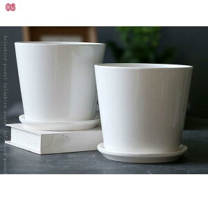 500~OFFN[| Vv Aؔ 픫 ^ lbgt k ^  v^[ Mt |pi  픫  zCg ꌊ 픫 A ϗtA ~j