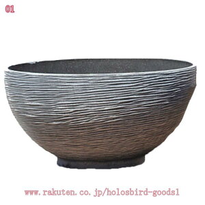 500~OFFN[| @ v^[ a  vX`bN W Aؔ k  ^ v^[  Vv  ϗtA A  u Vj v[g holosbird-