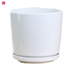 植木鉢 鉢 セラミック 8号 おしゃれ 大型 植物 受け皿付き コンクリート プランター 円筒形鉢 観葉植物 底穴あり耐用 シンプル グレー トレー付き 植木鉢 ホワイト かわいい カフェ オフィス