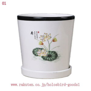 300~OFFN[| Aؔ v^[ M L XL p_vg 킢 픫 Mt ~h k Vv A | ԕ  |pi G  ~` ~͔ ^ t