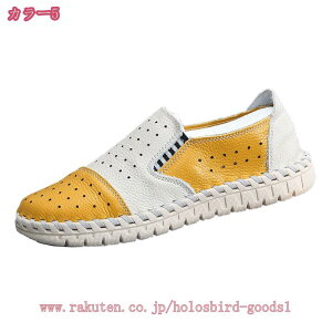 t Xj[J[V[Y Y ʋC Xb| [t@[ JWA [NV[Y EhgD tbgV[Y _炩 RtH[g JV h ʋ ʊw fbLV[Y 