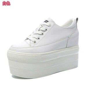 1000~OFFN[|  Xj[J[ fB[X  y nCJbgXj[J[ X^CbV t H~ RtH[g V[gu[c ҂ݏグ r gAbv JWAV[Y 