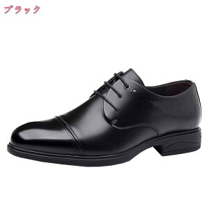 1000~OFFN[|  rWlXV[Y Y amC vC Xj[J[ JWA EH[LO ʋC y  ubN {v JWAV[Y ʋ  h OH v[