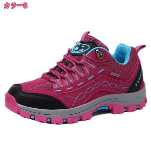 Y NC~Ou[c gbLOu[c AEghA fB[Xu[c oRC ϖ h ʋ ʊw V[gu[c AEghA nCLOV[Y amC wlC Xj[J[ JW