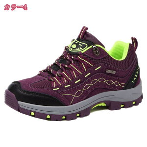 300~OFFN[| Y NC~Ou[c gbLOu[c AEghA fB[Xu[c oRC ϖ h ʋ ʊw V[gu[c AEghA nCLOV[Y amC wlC 