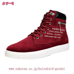 500~OFFN[| Xm[u[c Y [gu[c EB^[u[c hC Xm[V[Y h AEghA NC~OV[Y EB^[u[c ȐC N ~ EB^