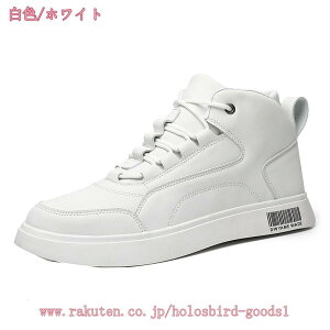 777~OFFN[| u[c Y C V[gu[c AEghAV[Y nCJbgu[c  h h ~C AEghA jp u[c JWAu[c [NV[Y  amC 