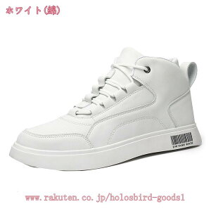 [XAbv fU[gu[c Y nCJbg ҂ݏグ [Nu[c ~hJbg h ~p N C Xm[u[c ȌC JWA ~ ɂȂ ϖՐ oCNpu[c holo
