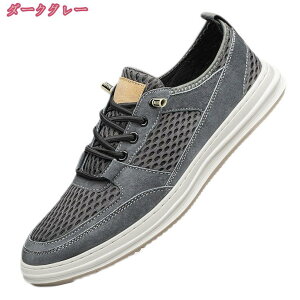 1000~OFFN[| Y Xj[J[ JWA fbLV[Y ^C ʋ ʊw EH[LO WMO [XAbv ʋC j X|[c [Jbg tbgV[Y XP[g{[