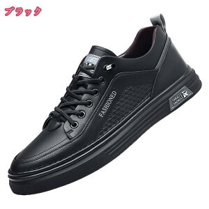 300~OFFN[| Xj[J[ EH[LOV[Y Y t  H ~ JWA ł Oo K tBbg Ռz _炩 Vv  킢   JWAV[Y 