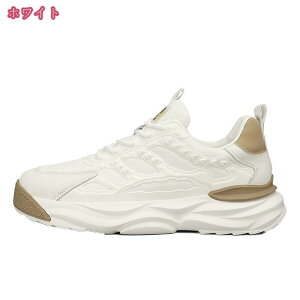 500~OFFN[| EH[LOV[Y y j h L ʋC ~ s Xj[J[ XP[gV[Y bV ɂ n JWAV[Y Xj[J[ [XAbv 