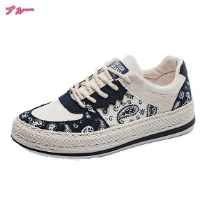 Xj[J[ Y [Jbg LoX [XAbv y JWAV[Y ₷  l oCJ[ EH[LO amC x[VbN L ɂ j Vv 