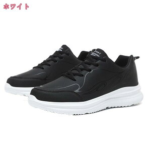 500~OFFN[| Xj[J[ [XAbvV[Y Y [Jbg JWA y ʋC ~ RtH[g EH[LO ₷  NbV AEghA JWA