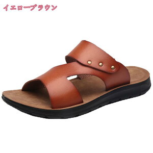 500~OFFN[| r[`T_ Xbp Y ČC  V[Y y t@bV ₷ ~ X|[c JWA XbvI T_ ʋ ʊw EH[LO t  H 