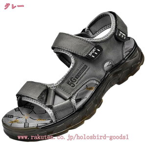 X|[c {vT_ r[`T_ y ~ ϏՌ ʋC 񂾂 Y X|[cT_ AEghAT_ T}[V[Y C ނ p JWA Lv oCN A