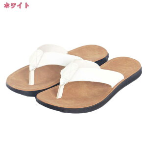 r[`T_ gOT_ Y ~ ɂȂ  r[T ؂ ItBXT_   y _炩  T_ AEghA C ][g am holosbird