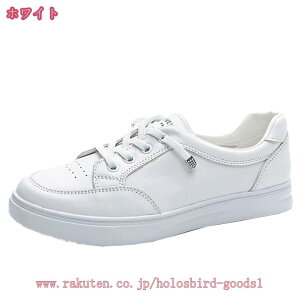 Xj[J[ fB[X  y EhgD [Jbg [XAbvXj[J[ X|[c y EH[LO jO JWAV[Y ₷ ₷ ɂ V