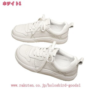 ҂ݏグ JWAV[Y EH[LO  킢 傫TCY ₷ s ʋ ʊw  Vv n r gAbv Xj[J[ fB[X d 풅p 