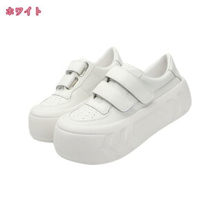 777~OFFN[| Xj[J[ fB[X [Jbg 傫TCY {v EH[LOV[Y EhgD Xb| ʋ X|[c ʊw ₷ ₷ ɂ jO 