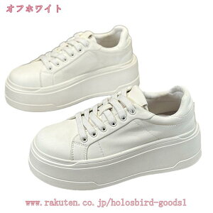 Xj[J[ fB[X {v[Jbg  [XAbv ɂȂ ₷ _炩  Ȃ ɂ y ʋ ʊw  킢 EH[LOV[Y 傫TC