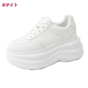 1000~OFFN[| Xj[J[ fB[X {v [Jbg Ȃ ₷ EH[LOV[Y 傫TCY [XAbv  킢 h ʋC JWA Vv 