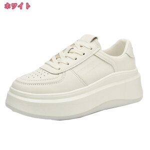 Xj[J[ fB[X {v [Jbg  [XAbv ɂȂ ₷ _炩  Ȃ ɂ y ʋ ʊw  킢 EH[LOV[Y 傫TC