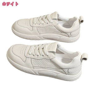 777~OFFN[| Xj[J[ fB[X {v [Jbg Ȃ ₷ EH[LOV[Y 傫TCY [XAbv  킢 h ʋC JWA Vv 