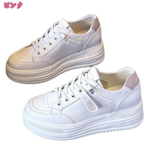 3500~OFFN[| Xj[J[ fB[X {v [Jbg Ȃ ₷ EH[LOV[Y 傫TCY [XAbv  킢 h ʋC JWA Vv 