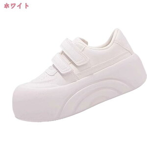  Xj[J[ fB[X [Jbg JWA gAbv {v ꂢ C  אg Xb| ₷ ɂ y tbgV[Y 傫TCY TCY EH