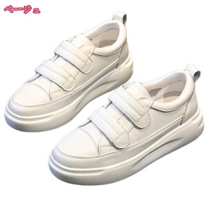 1000~OFFN[| Xj[J[ C fB[X {v }WbNe[v [Jbg tbgV[Y 傫TCY ₷ Xb| EhgD ɂ  X|[c jOV