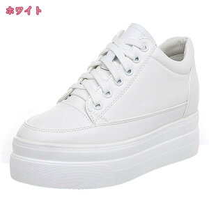 777~OFFN[| Xj[J[ fB[X [Jbg puU[ EH[LOV[Y Cq[ אg  킢 ^C JWAV[Y 傫TCY r gAbv 