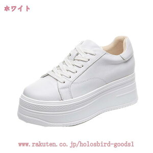 777~OFFN[| Xj[J[ fB[X Xb| {v _bhV[Y [XAbv gAbv JWA jO EH[LOV[Y EhgD r r  ʊw 