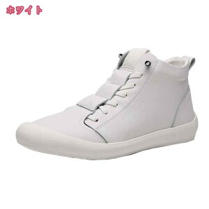 800~OFFN[| Y [XAbvu[c  V[gu[c GWjA h  ɂ L EH[LO ~ ʋ JWA ҂ݏグ h~ gbLOV[Y