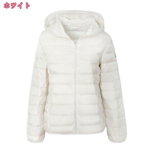 1000~OFFN[| _EWPbg AEghA Cg_E oR h ۉ h y _ER[g fB[X V[g אg X  tF~j g t H~ EgCg 