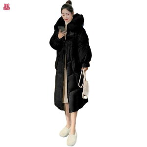 2000~OFFN[| fB[X _ER[g O t[ht h  ȃR[g ~ WPbg 傫TCY ؍t@bV p G holosbird-goods1