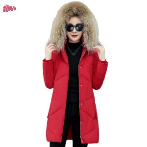 2000~OFFN[| _EWPbg fB[X y yʃ_EWPbg {^gbvX tH~ qbv_ER[g O Eg_Ep[J[ ӂ n  V