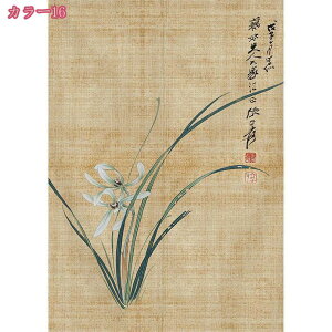 300~OFFN[| ̂  ډB ԕ g 茺 Ԏd؂J[e CeA G  a fM Ռ ̂ 䏊  ւ m a   Ce