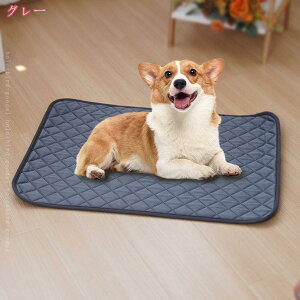 300~OFFN[| ybgV[c 􂦂  L ybgp }bg 2Zbg ~ ybg}bg pbh ~ h  Rh~ EL R L q VjA V[c J