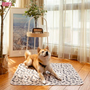 777~OFFN[| ^  Lp􂦂ybgV[c gCV[c z}bg 2g  h R L ~ Ȃ pbh V[c gCg[jO pbh JԂ