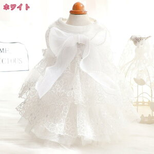  s[X ybg  L t E₷ y ʋC hbO L ybg p  p o ̎q XJ[g hX ^ ^ ^ ̕ R[M[ _bNXth `