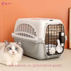 500~OFFN[| LpL[ ybgPl ybgQ[W P[W n[hL[ t pnEX ^ L ybg ړ Oo s h ObY nEX LsOL