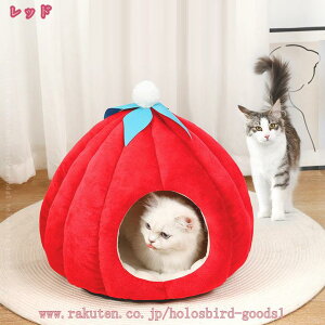 ybgxbh ybgnEX 2WAY  Ck  hbO lR L Lbgp h[^ LnEX ^p Lpi LbgnEX @\ ϊ ~ 􂦂  