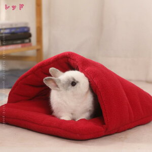 777~OFFN[| 킢 Lxbh LnEX ybgxbh ^ Lp ybgnEX h[^ ~ ӂӂ _炩 薰 ۉ g  xbh h[ LbgnEX 