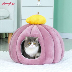 500~OFFN[| ybgxbh  ~ h[  L xbh h[^ LnEX g   x bh NbV ^ 􂦂 LbgnEX ybgnEX ӂӂ B ~px