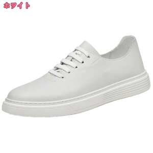 1000~OFFN[| fbLV[Y Xj[J[ [Jbg Y C ~ [XAbv tbgV[Y ₷ Ȃ C y Vv RtH[g JWA V[Y am