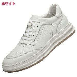 1000~OFFN[| fbLV[Y Xj[J[ [Jbg Y C ~ [XAbv tbgV[Y ₷ Ȃ C y Vv RtH[g JWA V[Y am